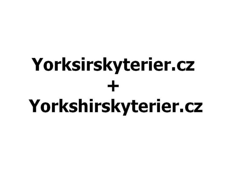  Yorksirskyterier.cz + Yorkshirskyterier.cz - foto 1