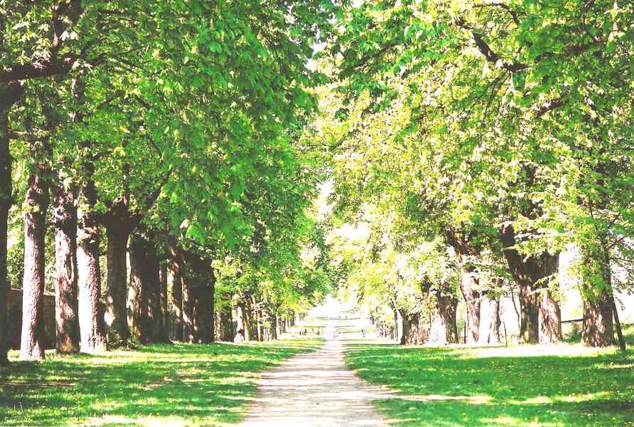 Pronajmu novostavbu 2+kk Slavkov u Brna, Zelnice II. 58 m2 - foto 26