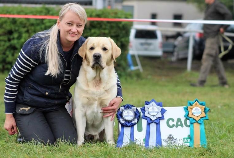 Labradorský retrívr - štěňata s PP - foto 10