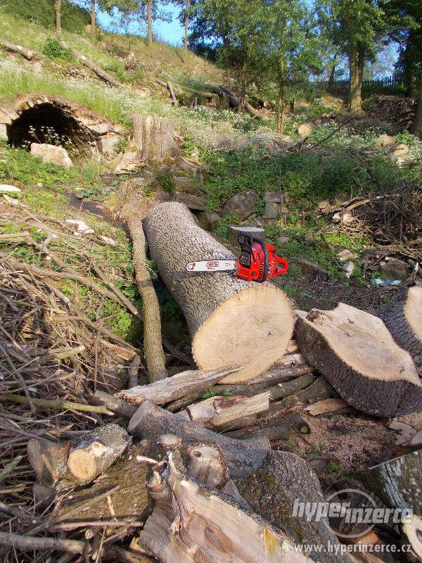 Jasan kulatina - foto 1