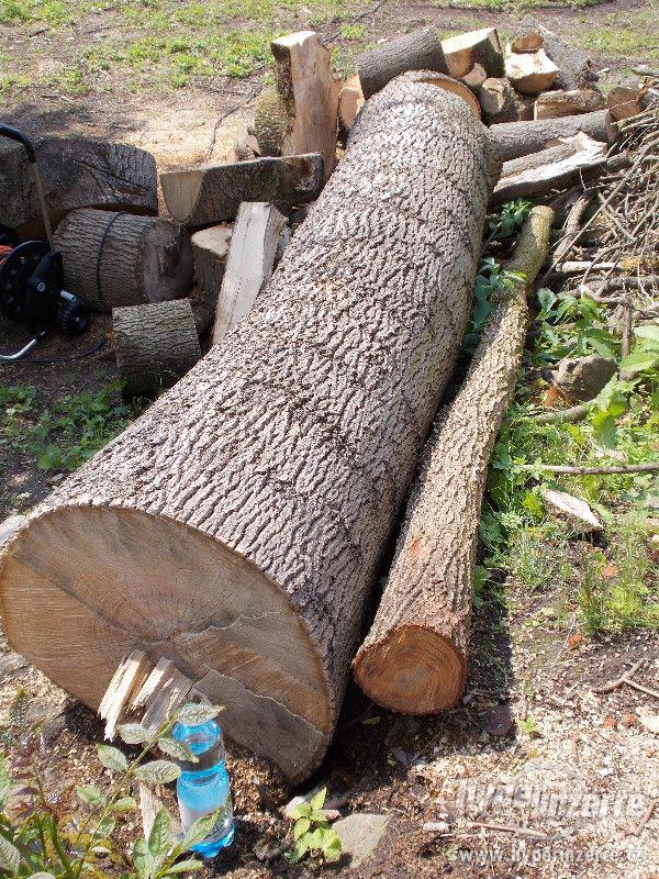 Jasan kulatina - foto 2