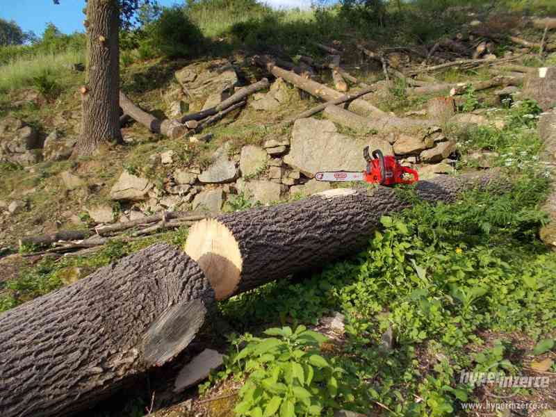 Jasan kulatina - foto 4