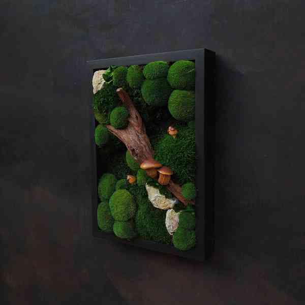 Mechový obraz / obraz ze stabilizovaného mechu - foto 3