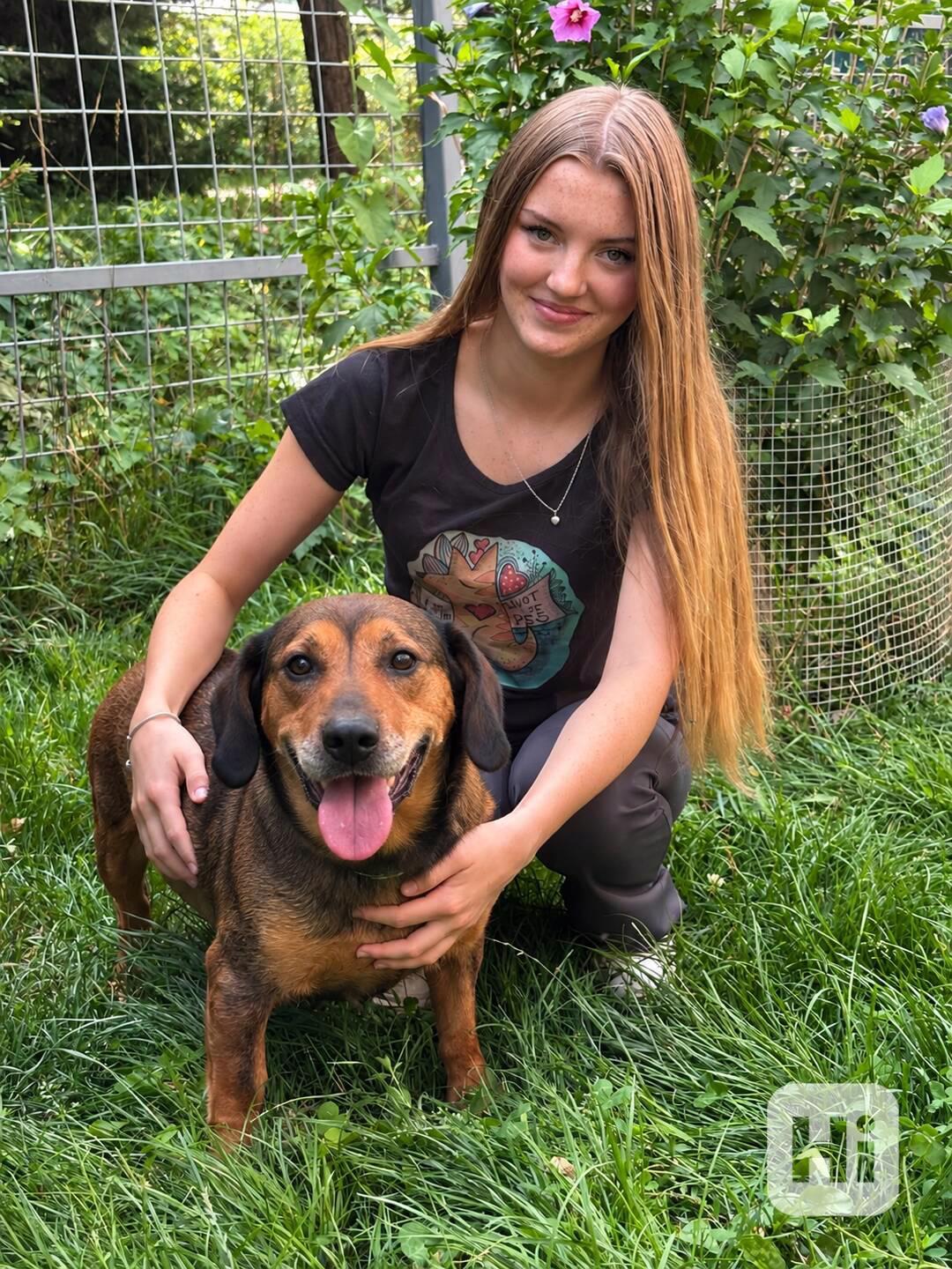 TARUNKA - kastrovaná fenečka 9 let  - foto 1