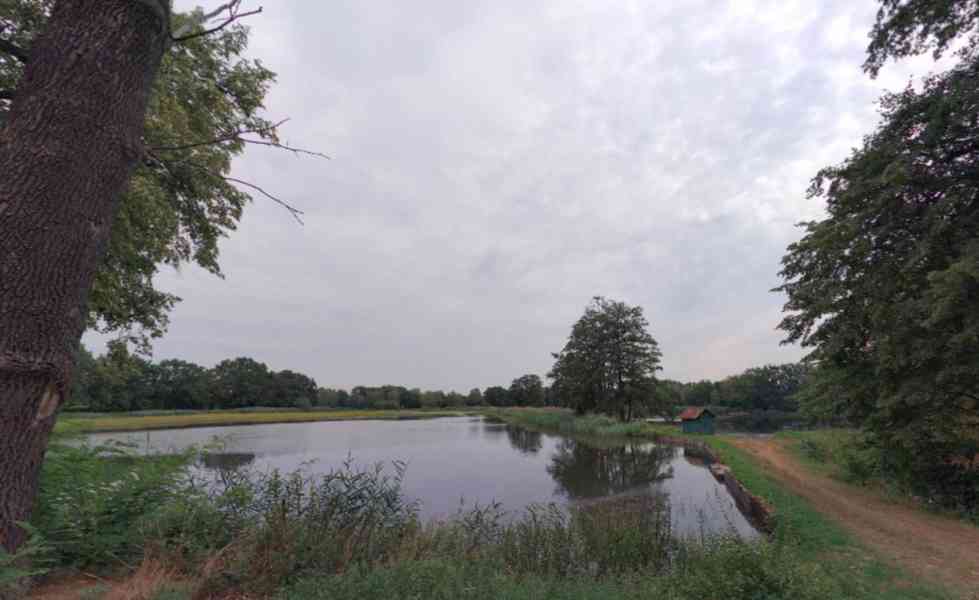 Chata/RD Lázně Bohdaneč - foto 5