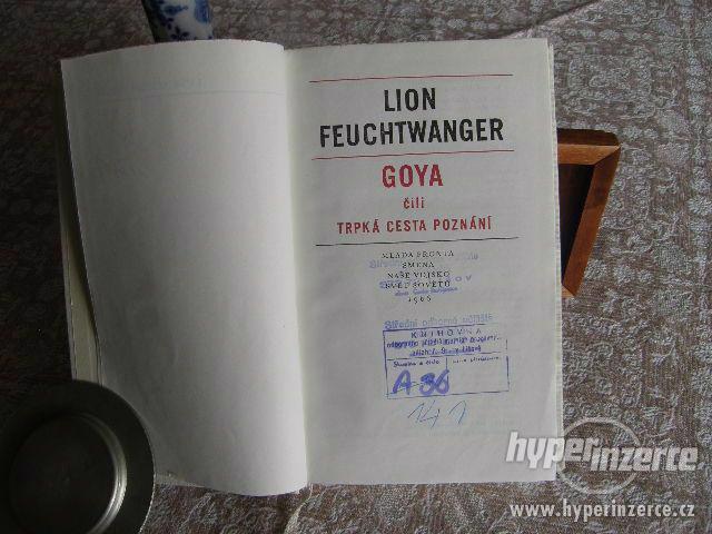 Goya čili trpká cesta poznání - foto 2