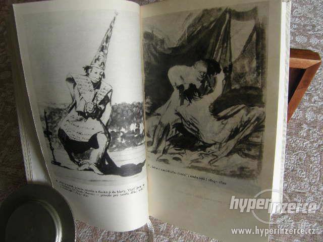Goya čili trpká cesta poznání - foto 4