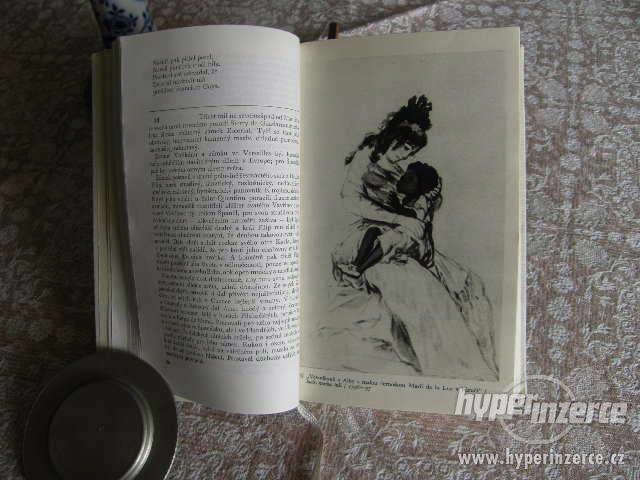 Goya čili trpká cesta poznání - foto 7