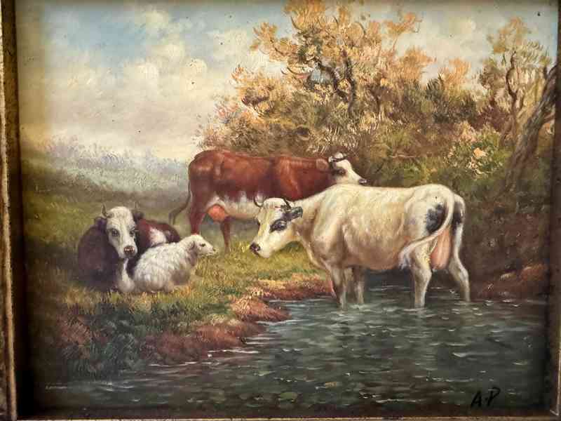 Krávy - obraz ve zlatém zdobeném rámu  - foto 2