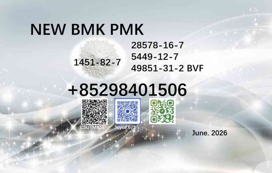 CAS 28578-16-7 PMK 5449-12-7 BMK glycidic acid sodium salt - foto 2