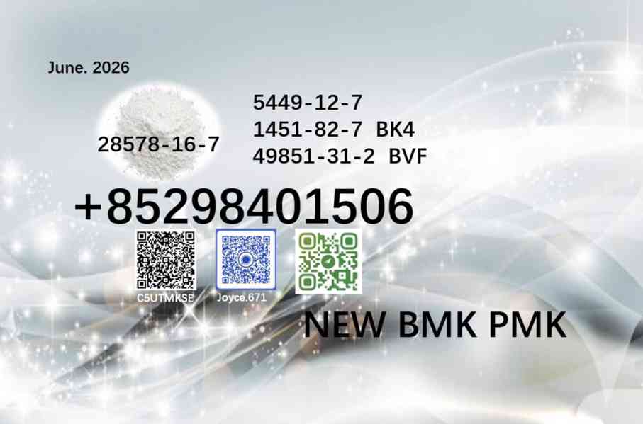 CAS 28578-16-7 PMK 5449-12-7 BMK glycidic acid sodium salt - foto 3