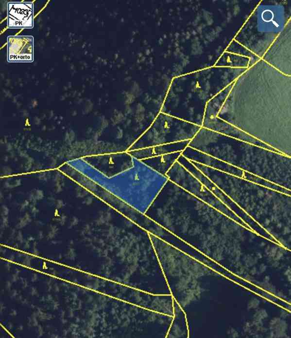 Lesní pozemek Jedlí - foto 9