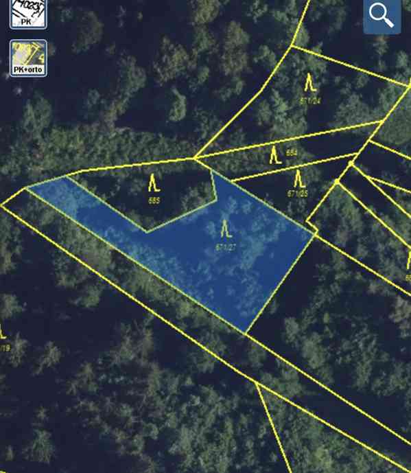 Lesní pozemek Jedlí - foto 8