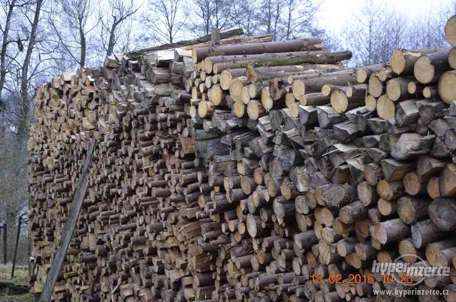 Palivové dřevo - foto 2