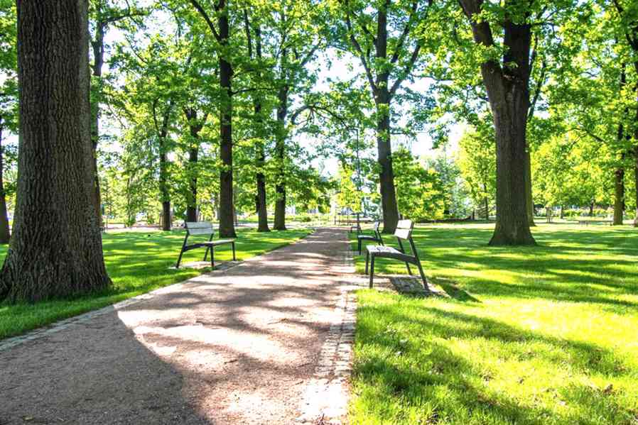 Pronajmu novostavbu 2+kk  Slavkov u Brna, Zelnice II - foto 21