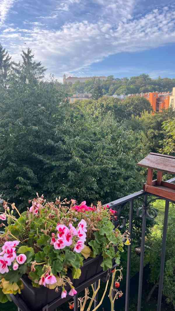 Nájem 1,5+1 Brno, ul.Jaselská, nezař., 72 m2+sklep, balkon - foto 3