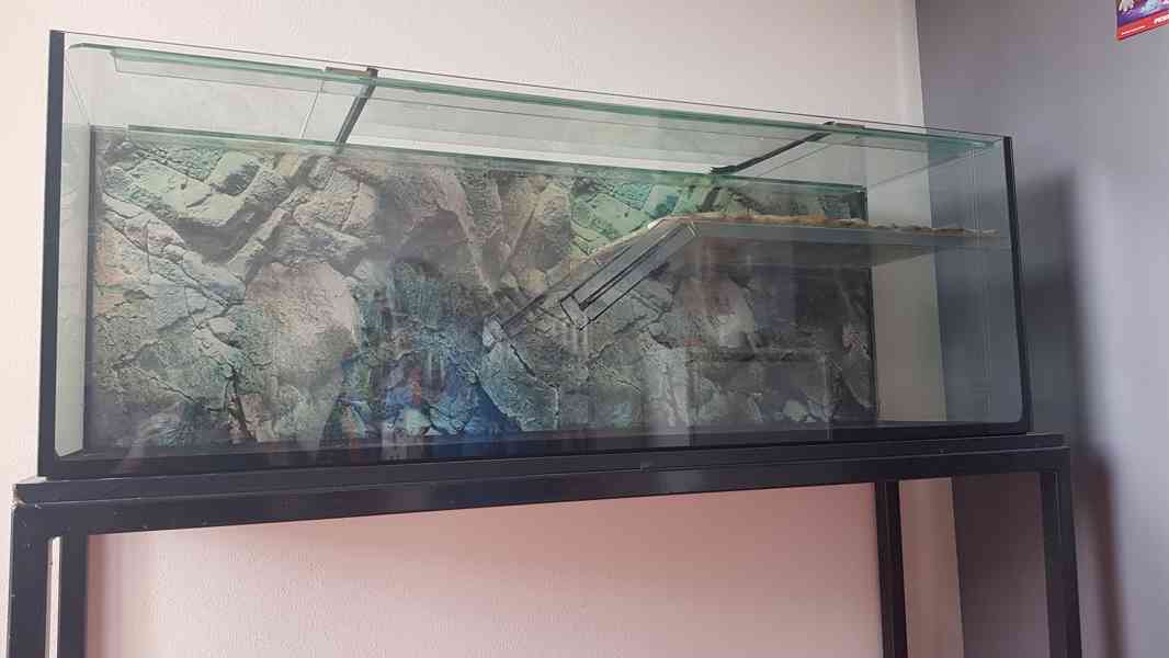Želvárium / akvárium 142 cm - foto 2