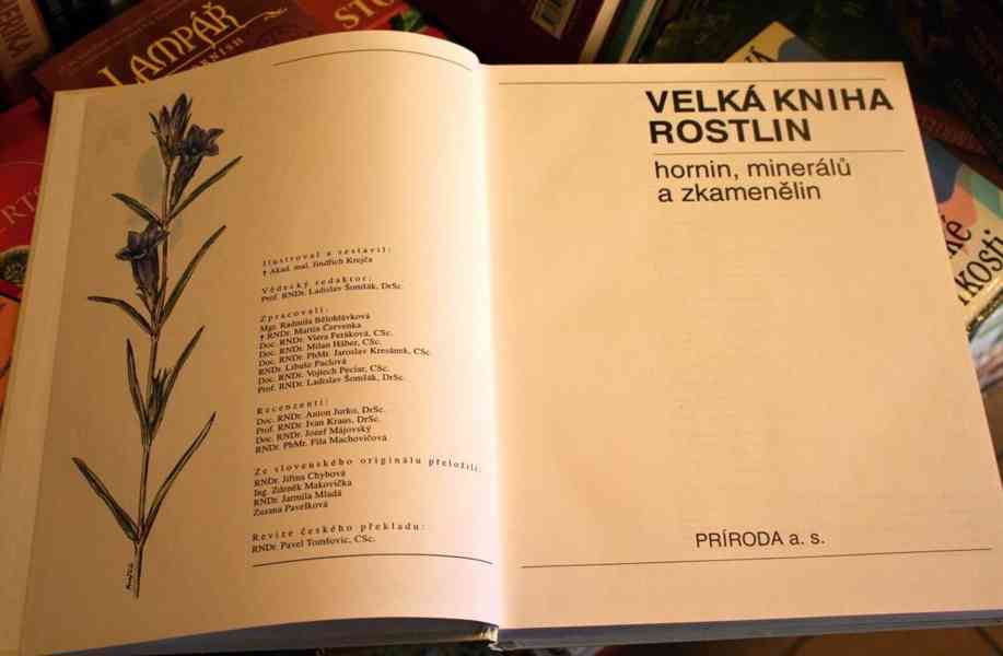 VELKÁ KNIHA ROSTLIN, HORNIN, MINERÁLŮ A ZKAMENĚLIN - nejlevn - foto 3