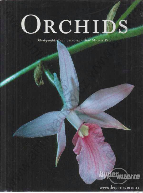 Orchids Michael Paul ilustrace: Phot Paul Starosta - foto 1