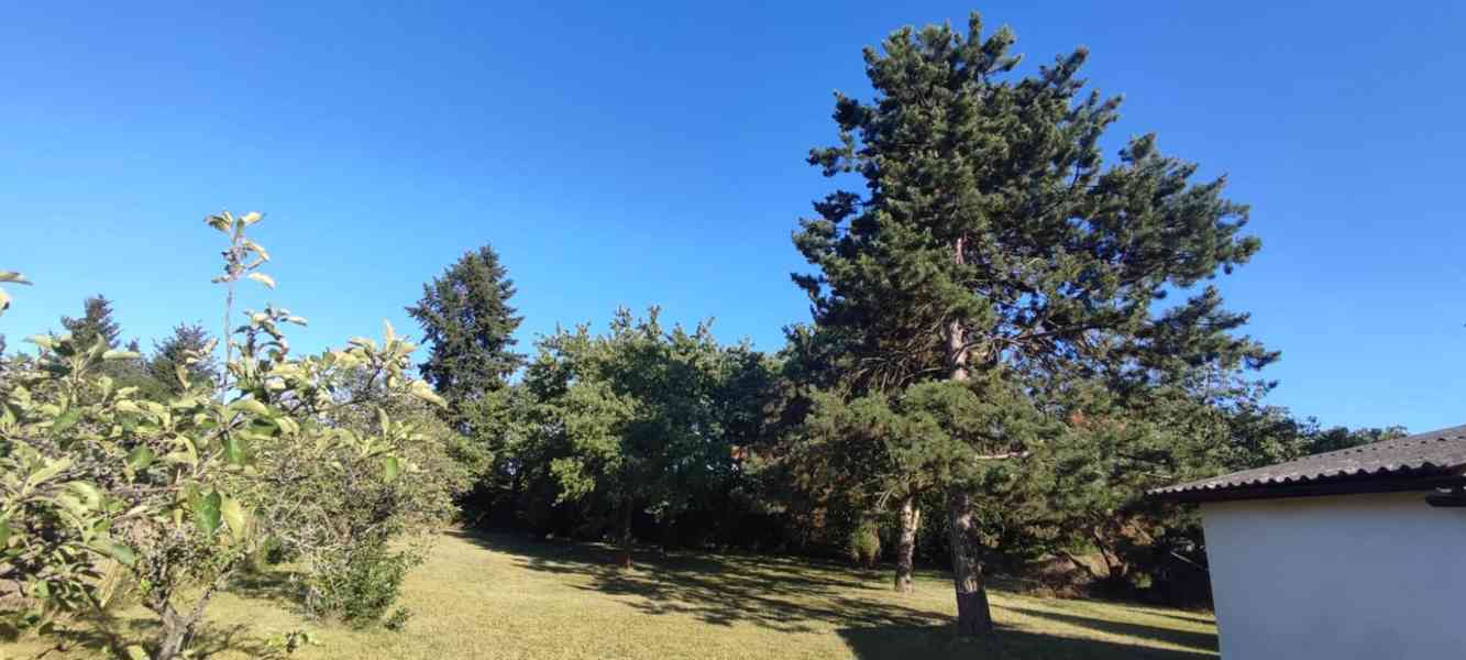 Prodej zahrady 1709 m2 s chatou 60 m2 Praha 4 Kunratice - foto 4