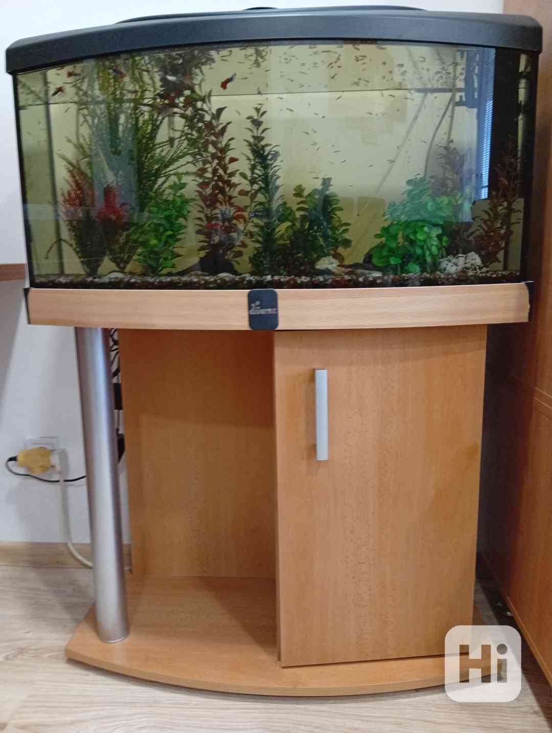 Akvárium - foto 1