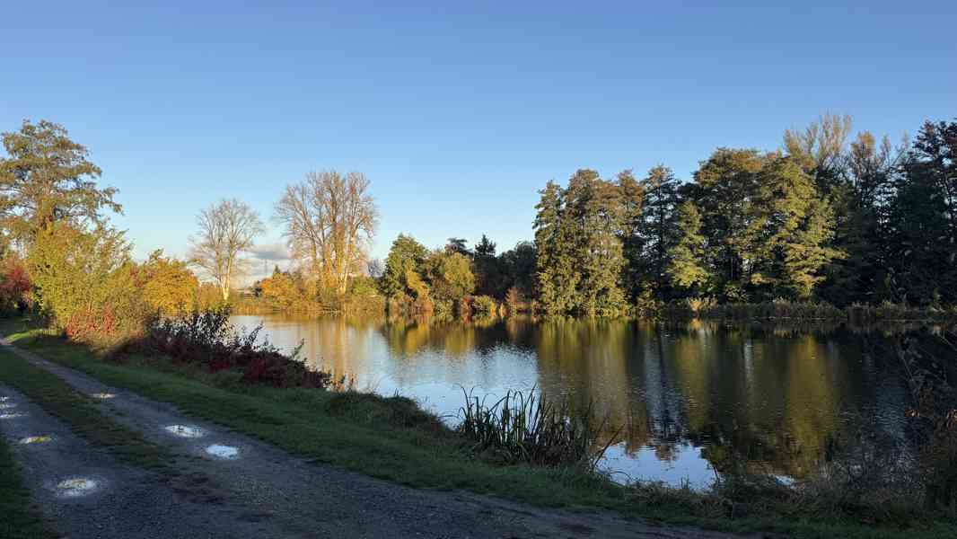 Pronájem chata - Káraný - foto 14