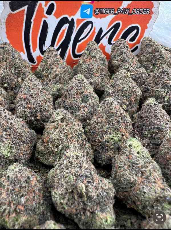 whatsapp +49 163 0221373 Buy Marijuana Germany Online