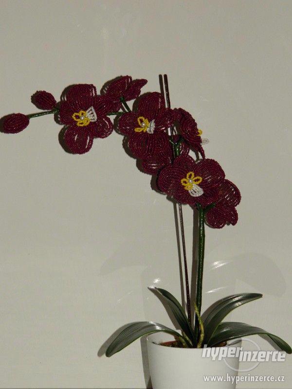 Orchideje z korálku - foto 1