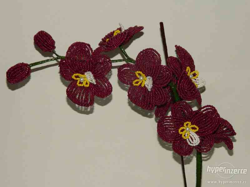 Orchideje z korálku - foto 2
