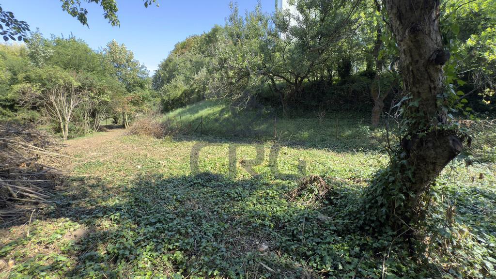 PRODEJ STAVEBNÍHO POZEMKU O CP 1.453 M2 V BRNĚ - foto 5