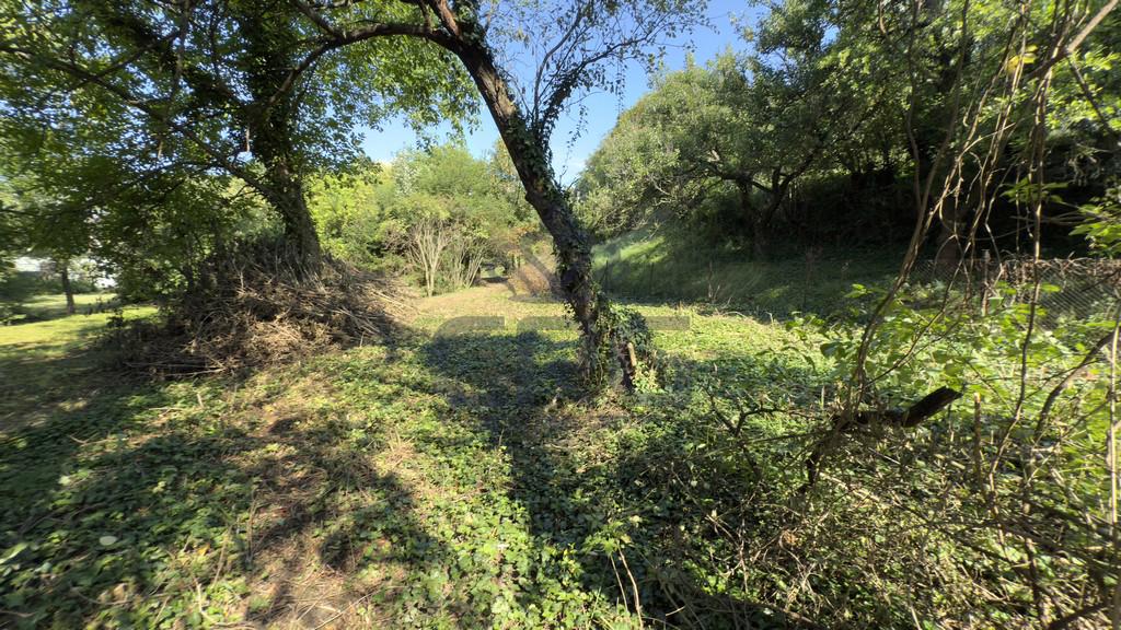 PRODEJ STAVEBNÍHO POZEMKU O CP 1.453 M2 V BRNĚ - foto 3