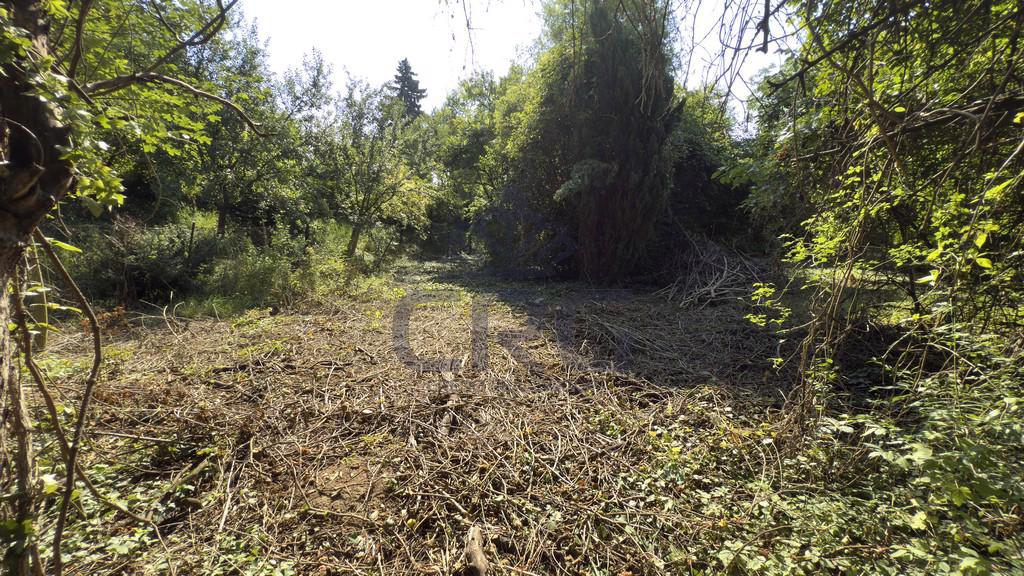 PRODEJ STAVEBNÍHO POZEMKU O CP 1.453 M2 V BRNĚ - foto 8