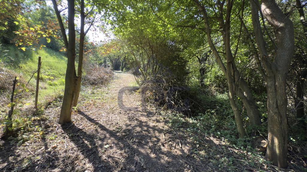PRODEJ STAVEBNÍHO POZEMKU O CP 1.453 M2 V BRNĚ - foto 7