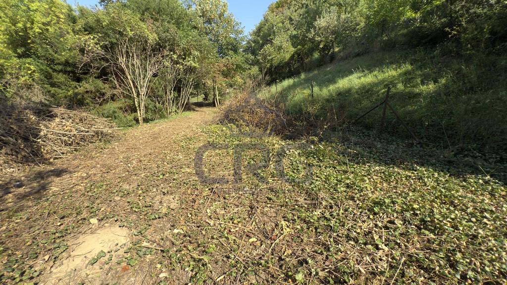 PRODEJ STAVEBNÍHO POZEMKU O CP 1.453 M2 V BRNĚ - foto 4