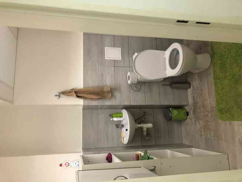 Pronájem nebytových prostor - foto 8