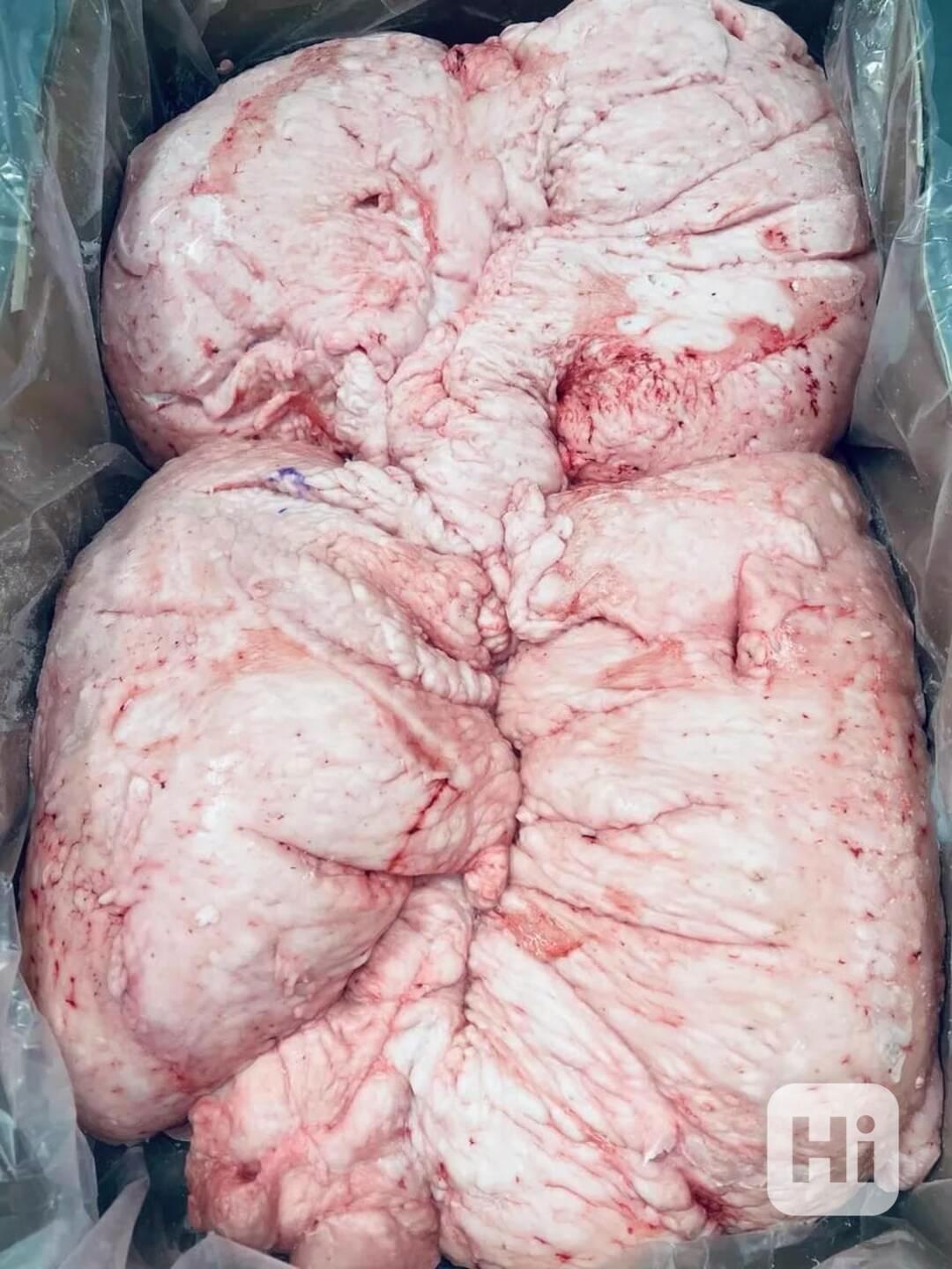 Halal Lamb Tail Fat, Frozen Lamb Fat, Sheep Tail Fat, Lamb F - foto 1