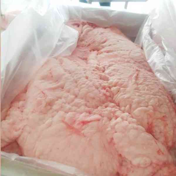 Halal Lamb Tail Fat, Frozen Lamb Fat, Sheep Tail Fat, Lamb F - foto 2