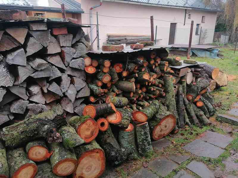 Prodej dřeva - foto 2