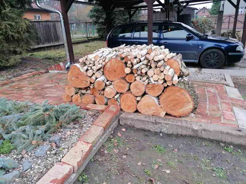 Prodej dřeva - foto 4