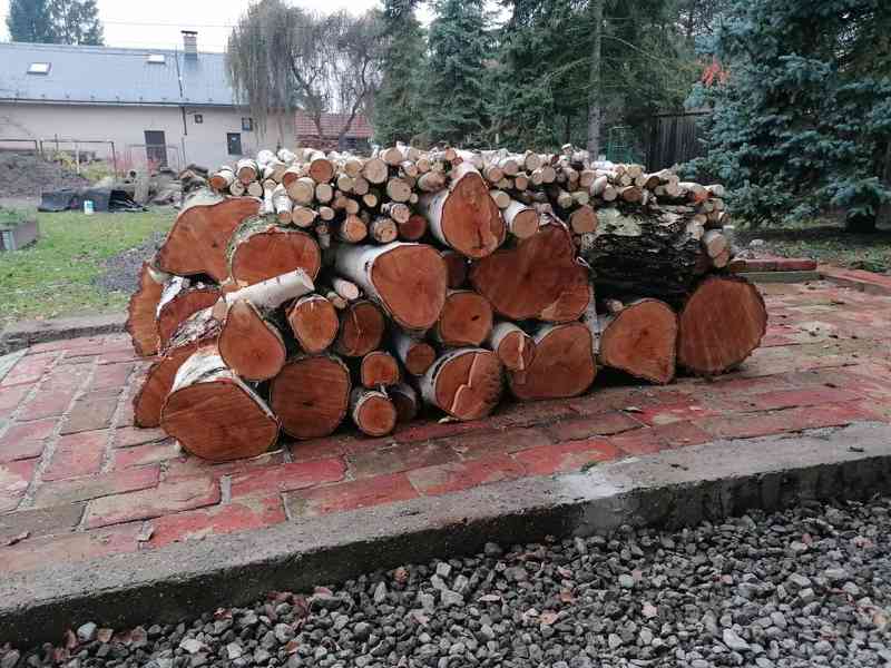 Prodej dřeva - foto 3