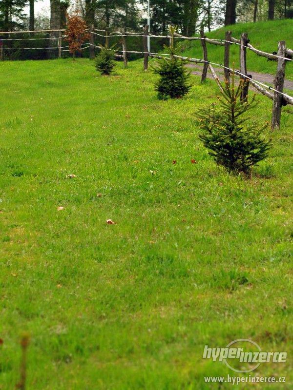 Stavební pozemek pro stavbu srubu nebo roubenky - foto 4