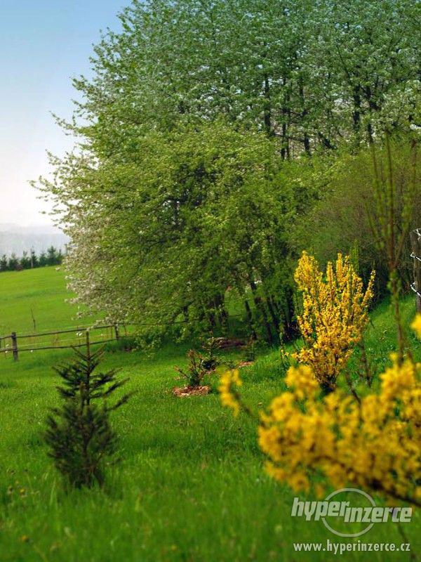 Stavební pozemek pro stavbu srubu nebo roubenky - foto 5
