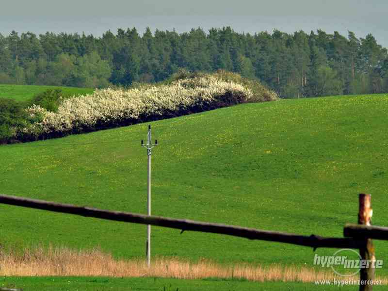Stavební pozemek pro stavbu srubu nebo roubenky - foto 7