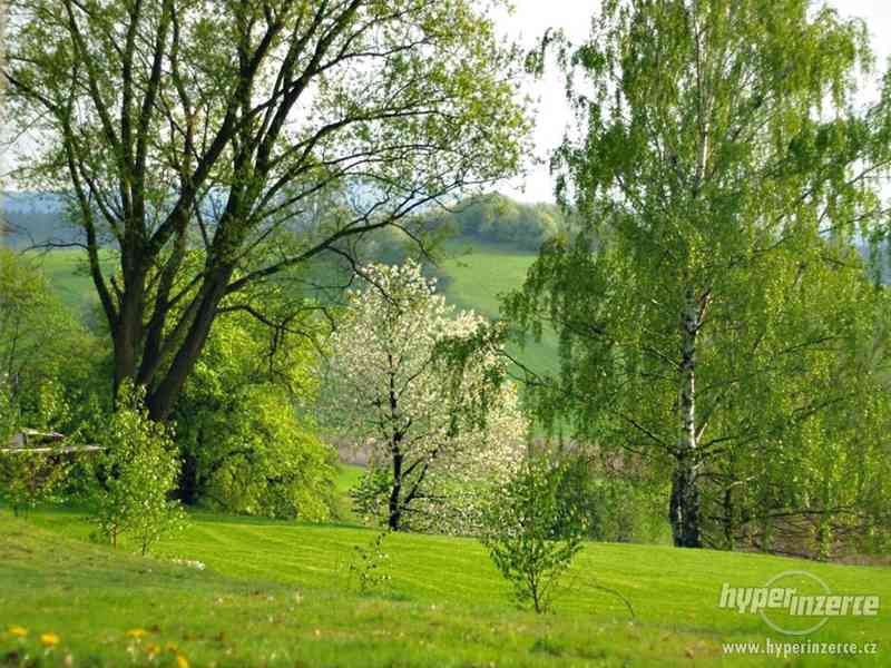 Stavební pozemek pro stavbu srubu nebo roubenky - foto 9