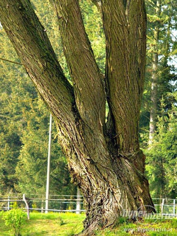 Stavební pozemek pro stavbu srubu nebo roubenky - foto 10