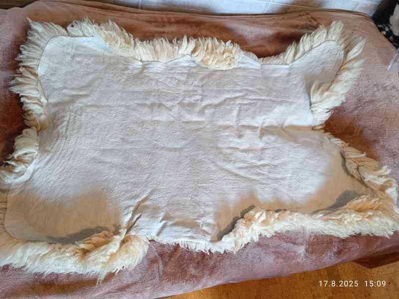 Prodám PRAVOU OVČÍ KOŽEŠINU , 90-100 x 65-70cm - foto 4