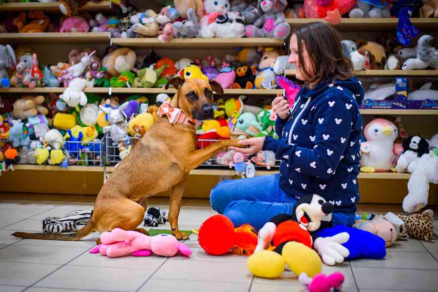 Pohádková Disney – společenská princezna - foto 3