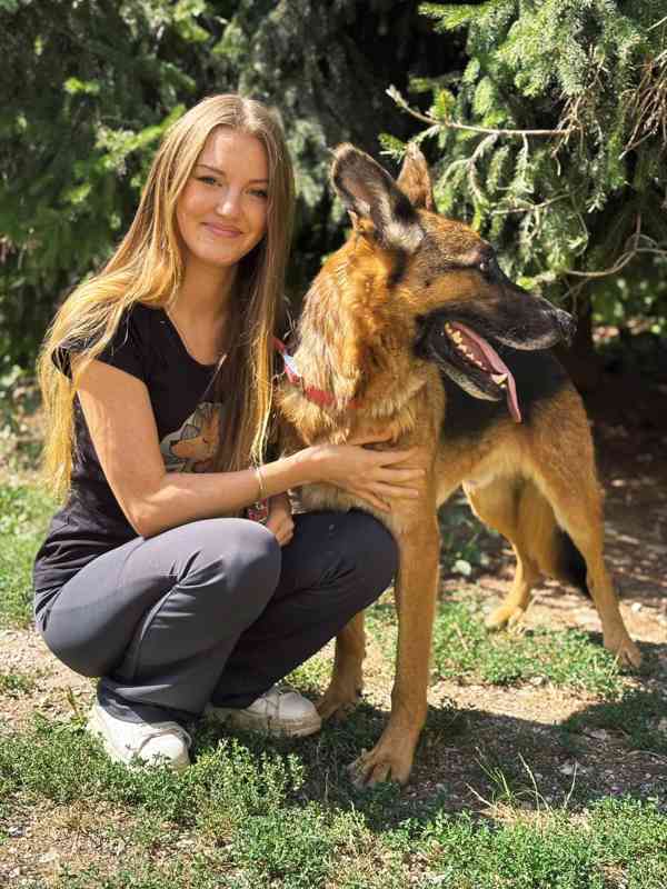 MAX - Ovčák - kastrovaný psík 7 let  - foto 3