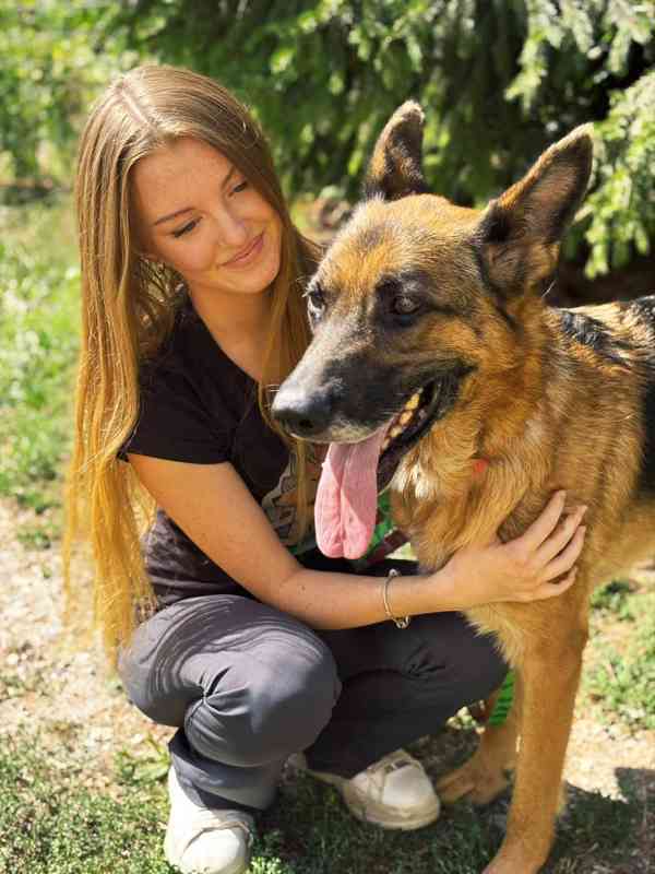 MAX - Ovčák - kastrovaný psík 7 let  - foto 5