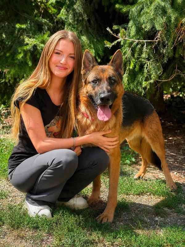 MAX - Ovčák - kastrovaný psík 7 let  - foto 1